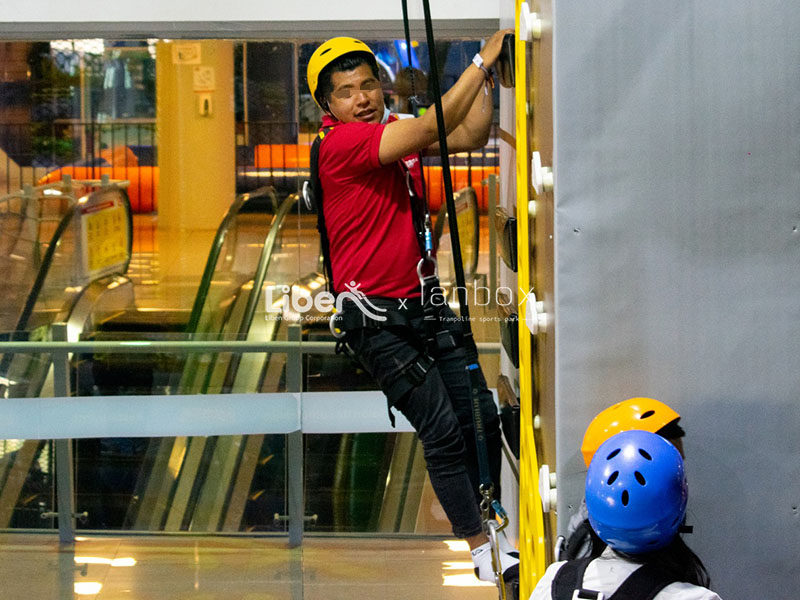 Climbing Wall