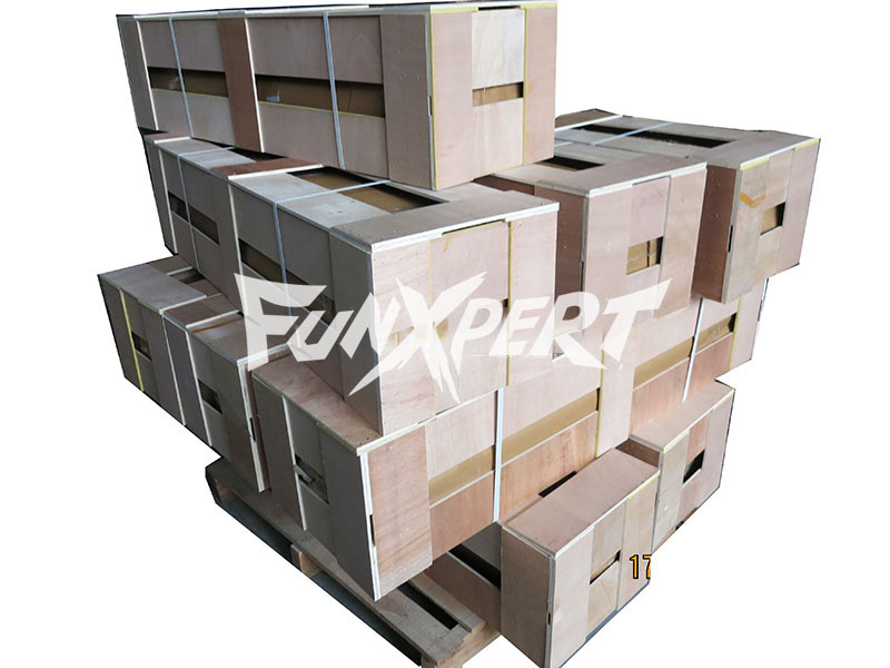 Shoe Case Package
