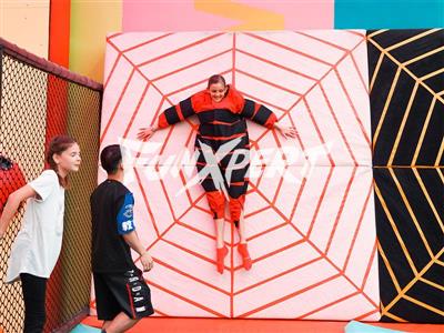 Spider Sticky Wall