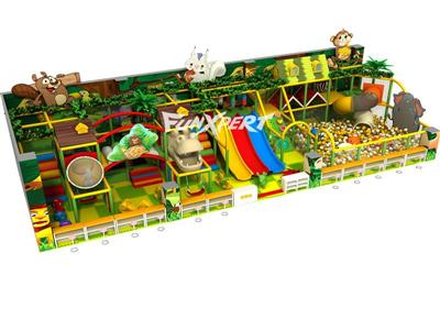 Jungle Gym Indoor Playground for Kids