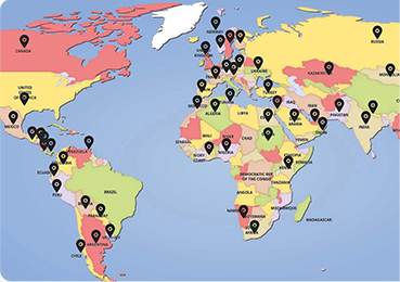 Experienced Supplier Sales Network